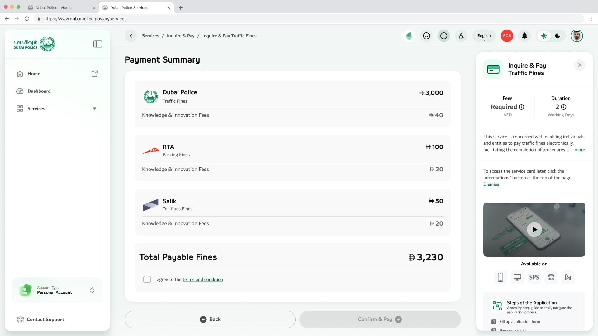 Fine Payment & Traffic Violations: shipped screen